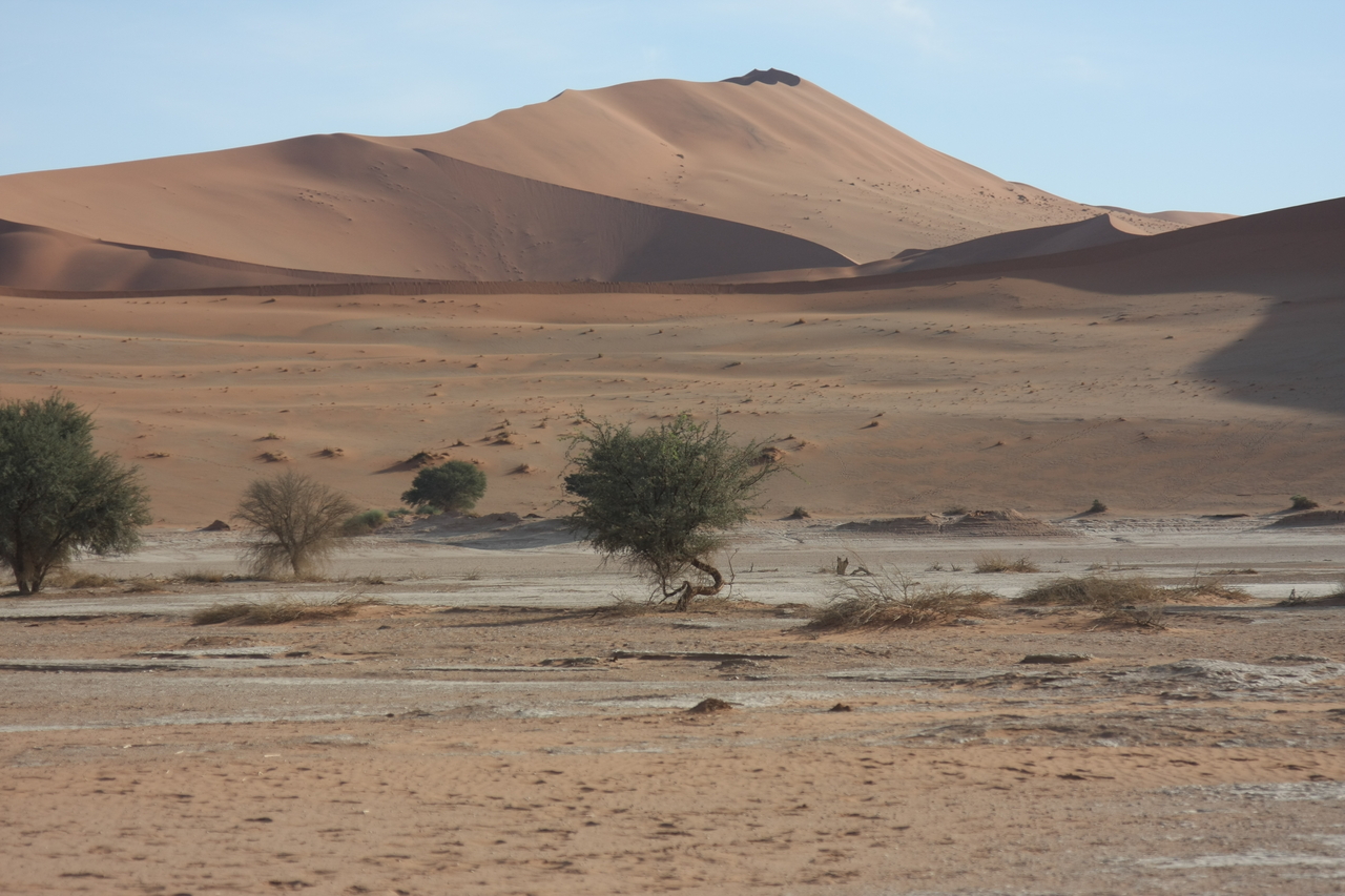 [15128] 2016_06_25_03_40_05_Africa_Canon_EOS_40D_IMG__09482.jpg