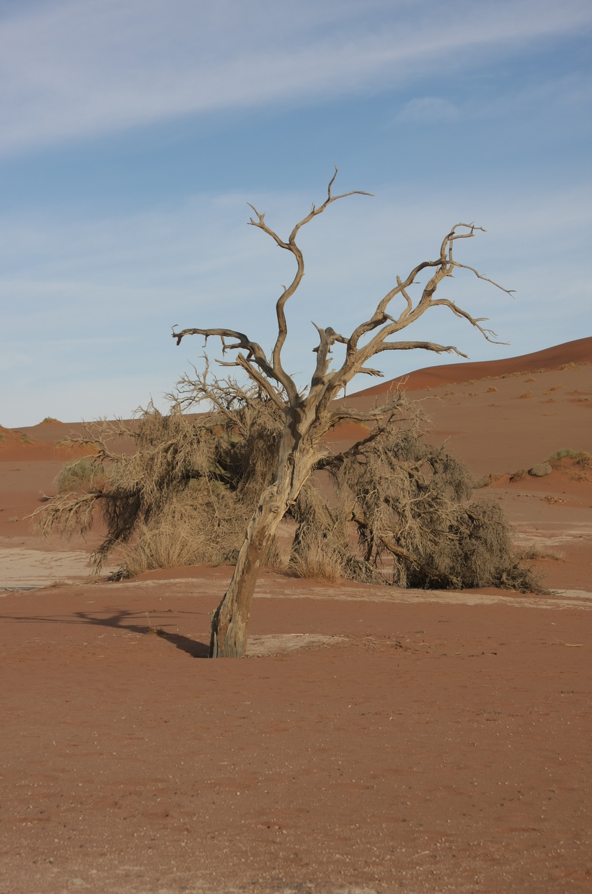 [15159] 2016_06_25_03_42_55_Africa_Canon_EOS_40D_IMG__09494.jpg