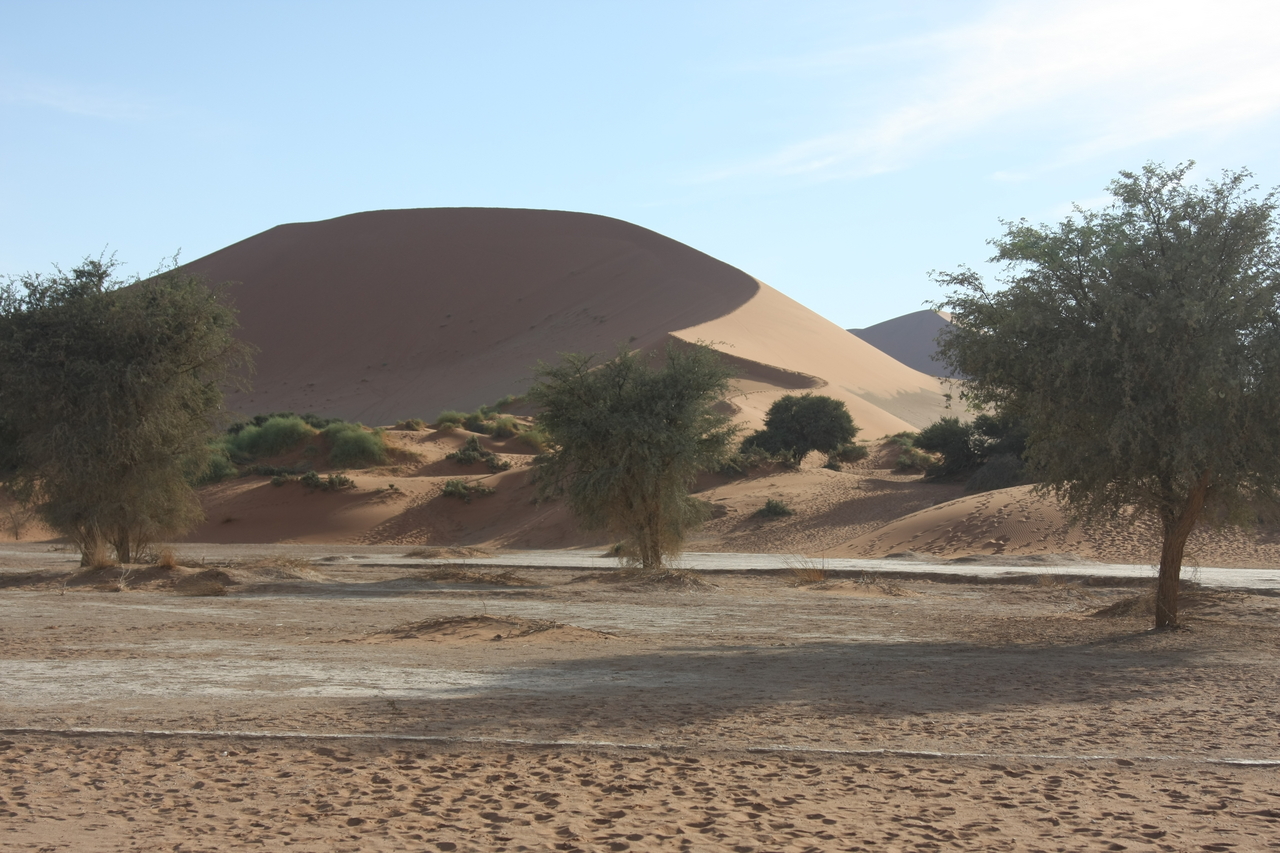 [15165] 2016_06_25_03_43_54_Africa_Canon_EOS_40D_IMG__02048.jpg