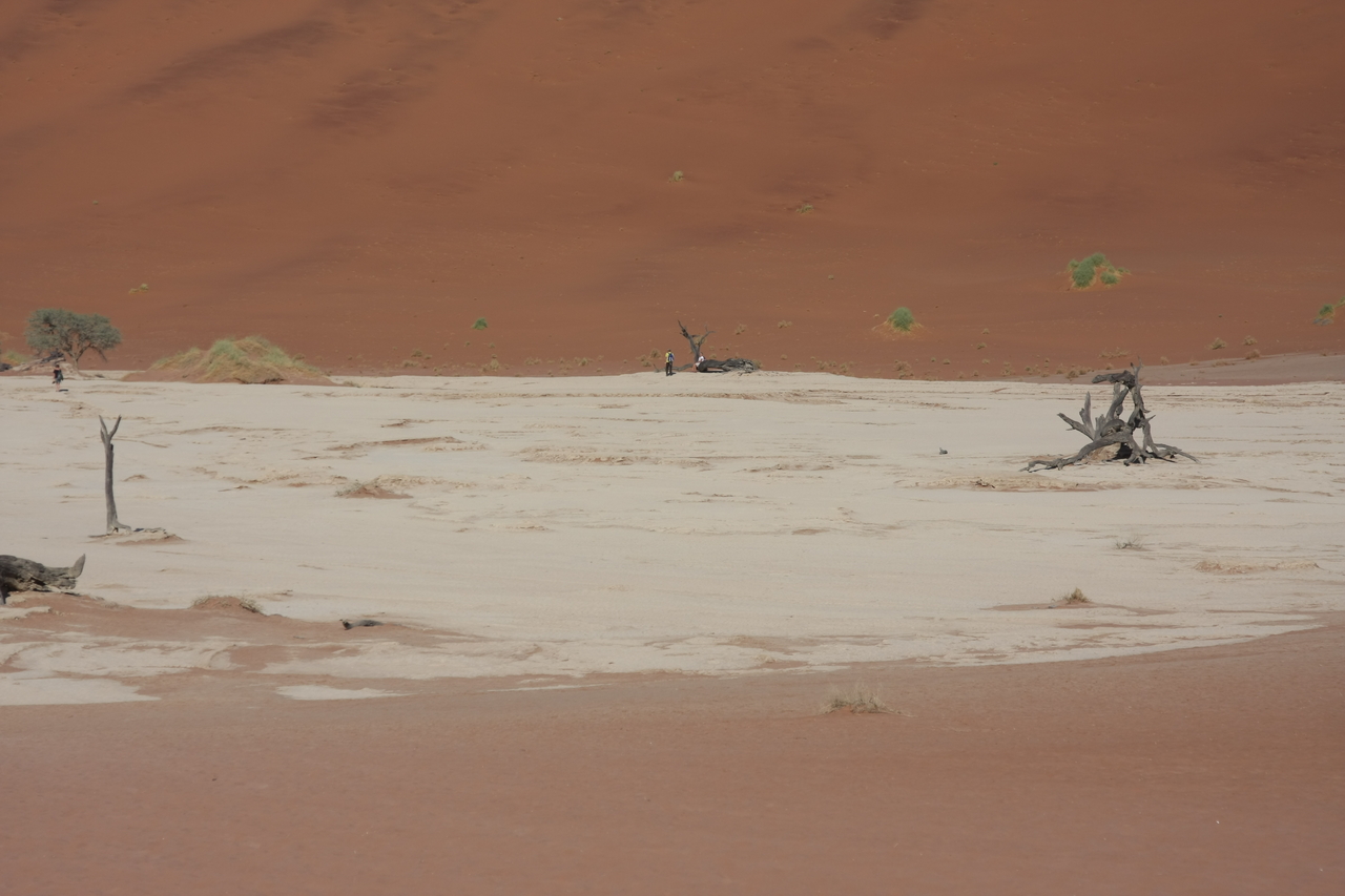 [15272] 2016_06_25_04_47_57_Africa_Canon_EOS_40D_IMG__00084.jpg