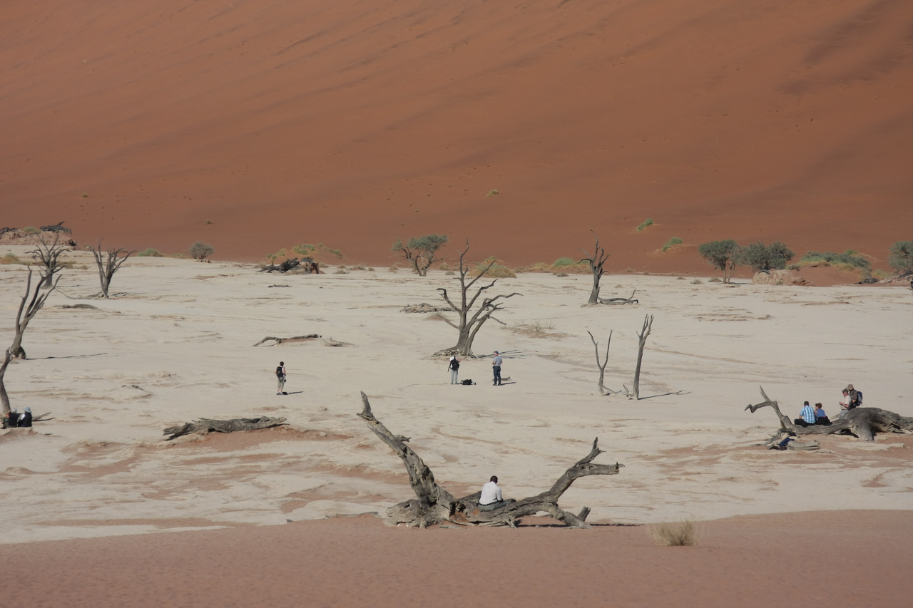 [15276] 2016_06_25_04_47_59_Africa_Canon_EOS_40D_IMG__02078.jpg