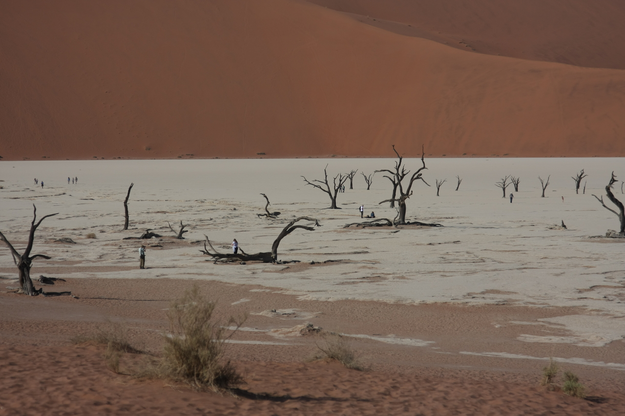 [15284] 2016_06_25_04_48_07_Africa_Canon_EOS_40D_IMG__00088.jpg