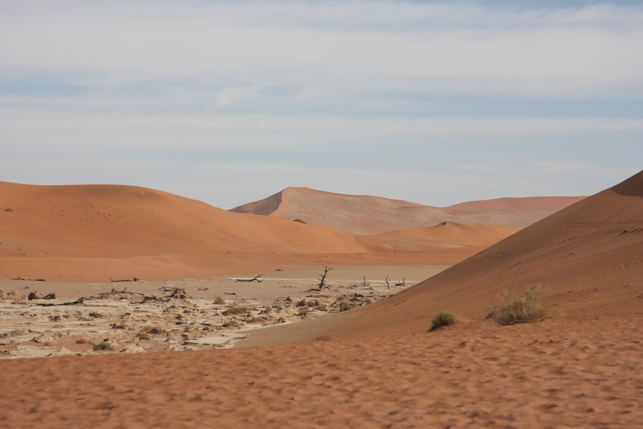 [15298] 2016_06_25_04_48_30_Africa_Canon_EOS_40D_IMG__02086.jpg