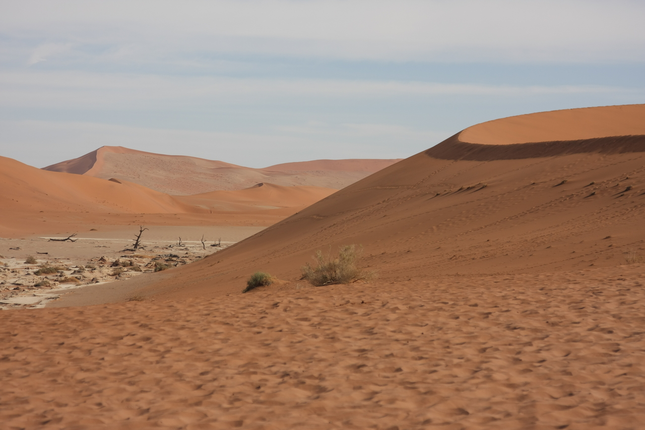 [15304] 2016_06_25_04_48_34_Africa_Canon_EOS_40D_IMG__02088.jpg