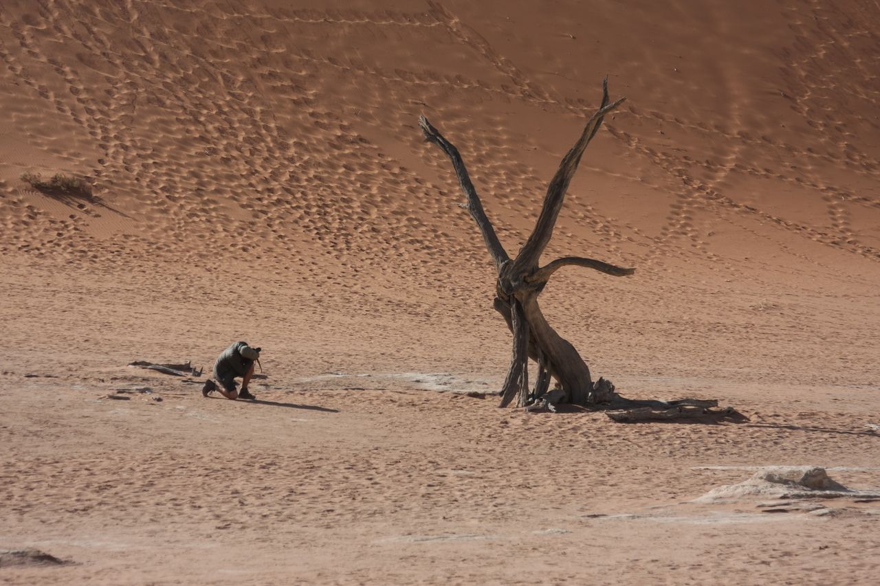 [15322] 2016_06_25_04_50_52_Africa_Canon_EOS_40D_IMG__09541.jpg