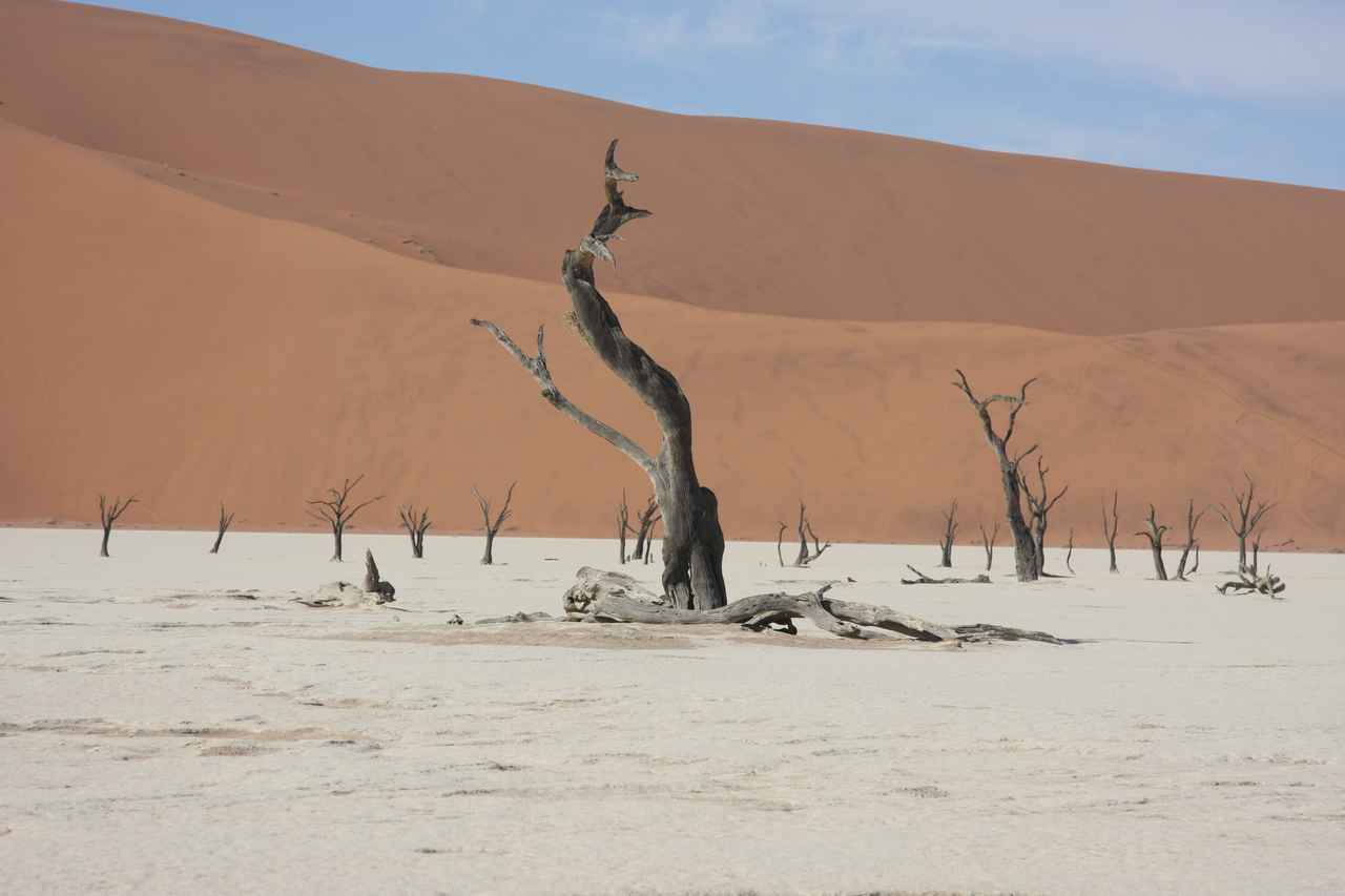 [15325] 2016_06_25_04_51_34_Africa_Canon_EOS_40D_IMG__09543.jpg