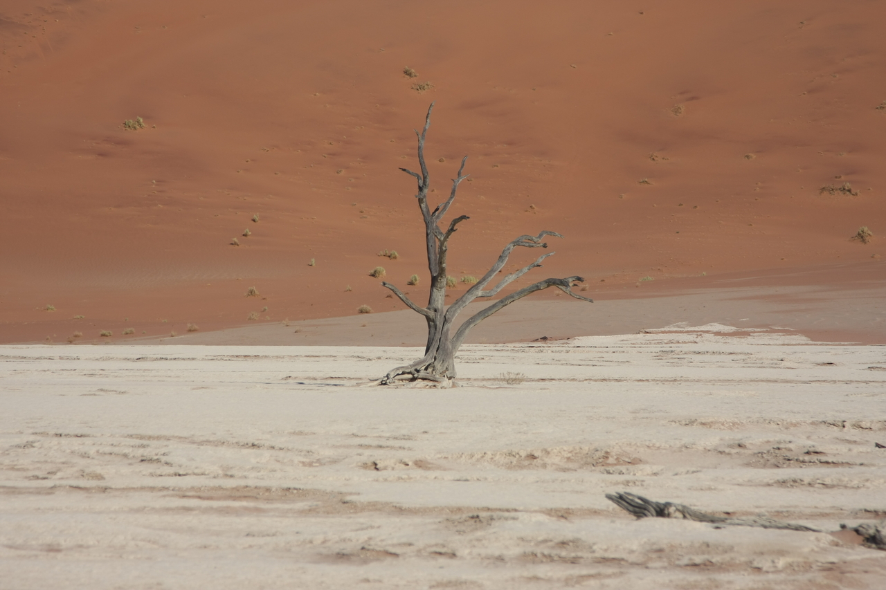 [15335] 2016_06_25_04_52_08_Africa_Canon_EOS_40D_IMG__00107.jpg