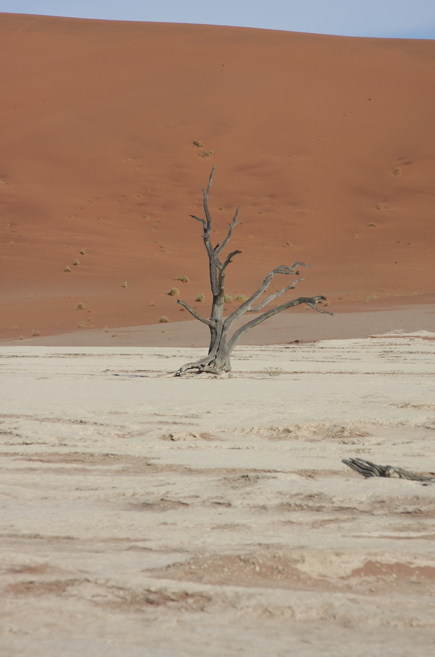 [15339] 2016_06_25_04_52_16_Africa_Canon_EOS_40D_IMG__02101.jpg