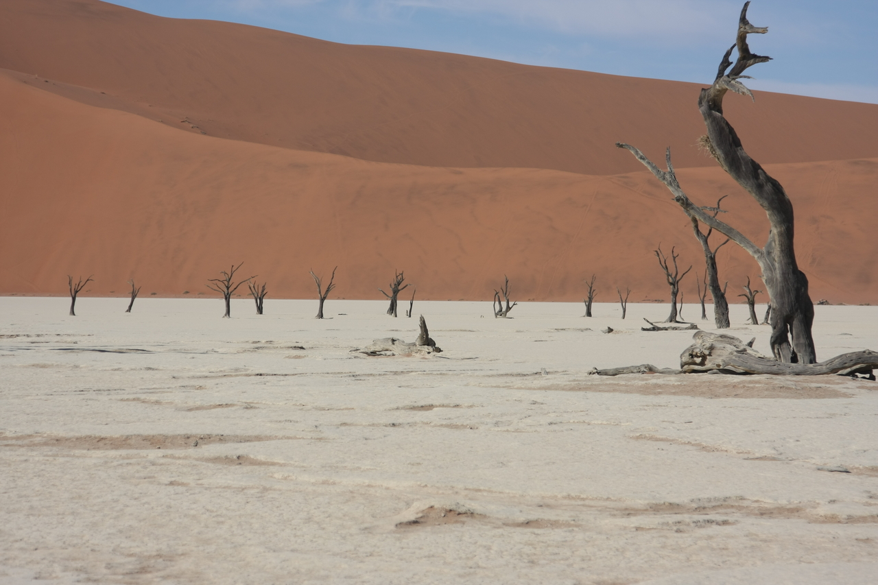 [15342] 2016_06_25_04_53_00_Africa_Canon_EOS_40D_IMG__02102.jpg