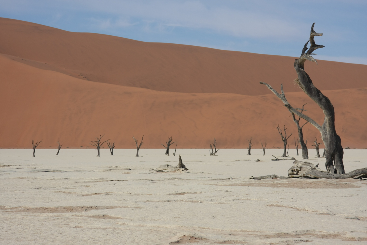 [15345] 2016_06_25_04_53_05_Africa_Canon_EOS_40D_IMG__02103.jpg