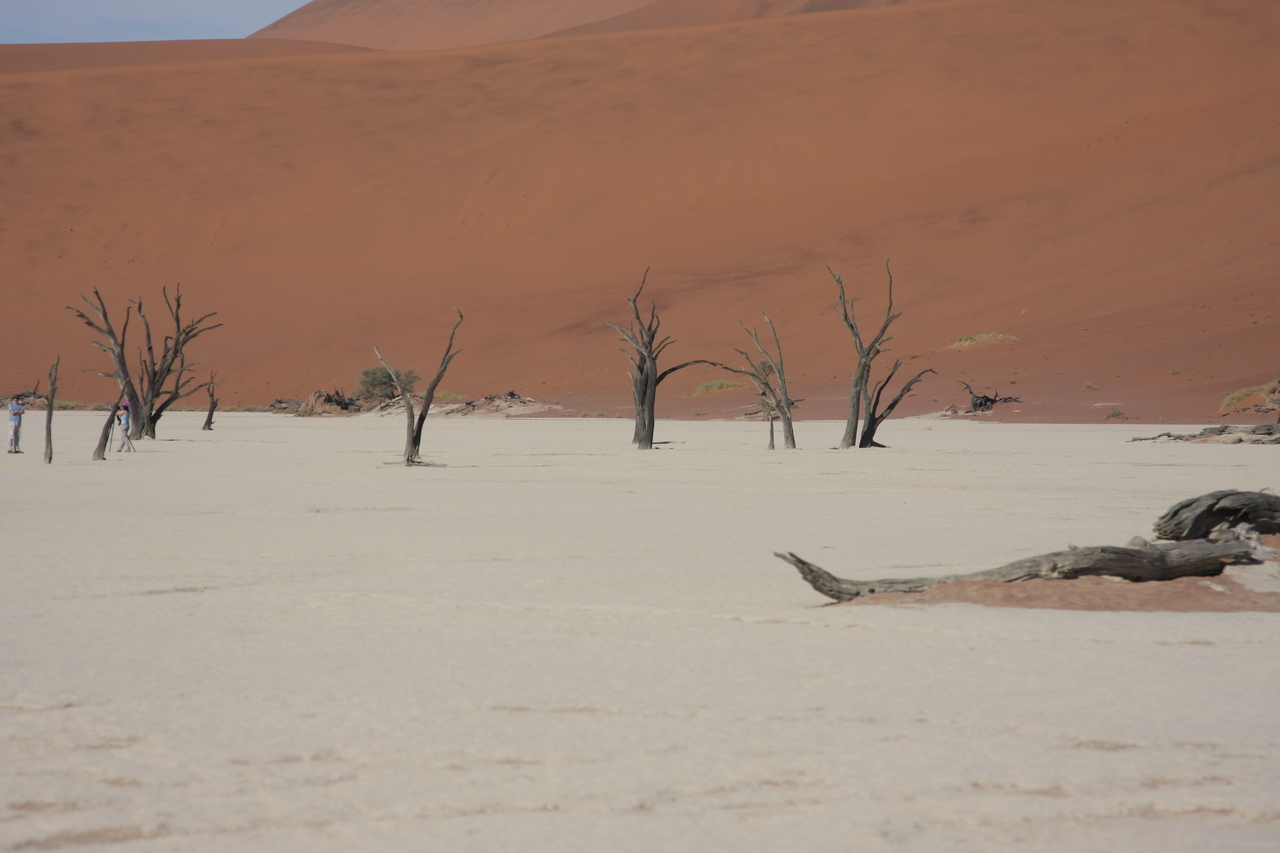 [15348] 2016_06_25_04_53_28_Africa_Canon_EOS_40D_IMG__02104.jpg