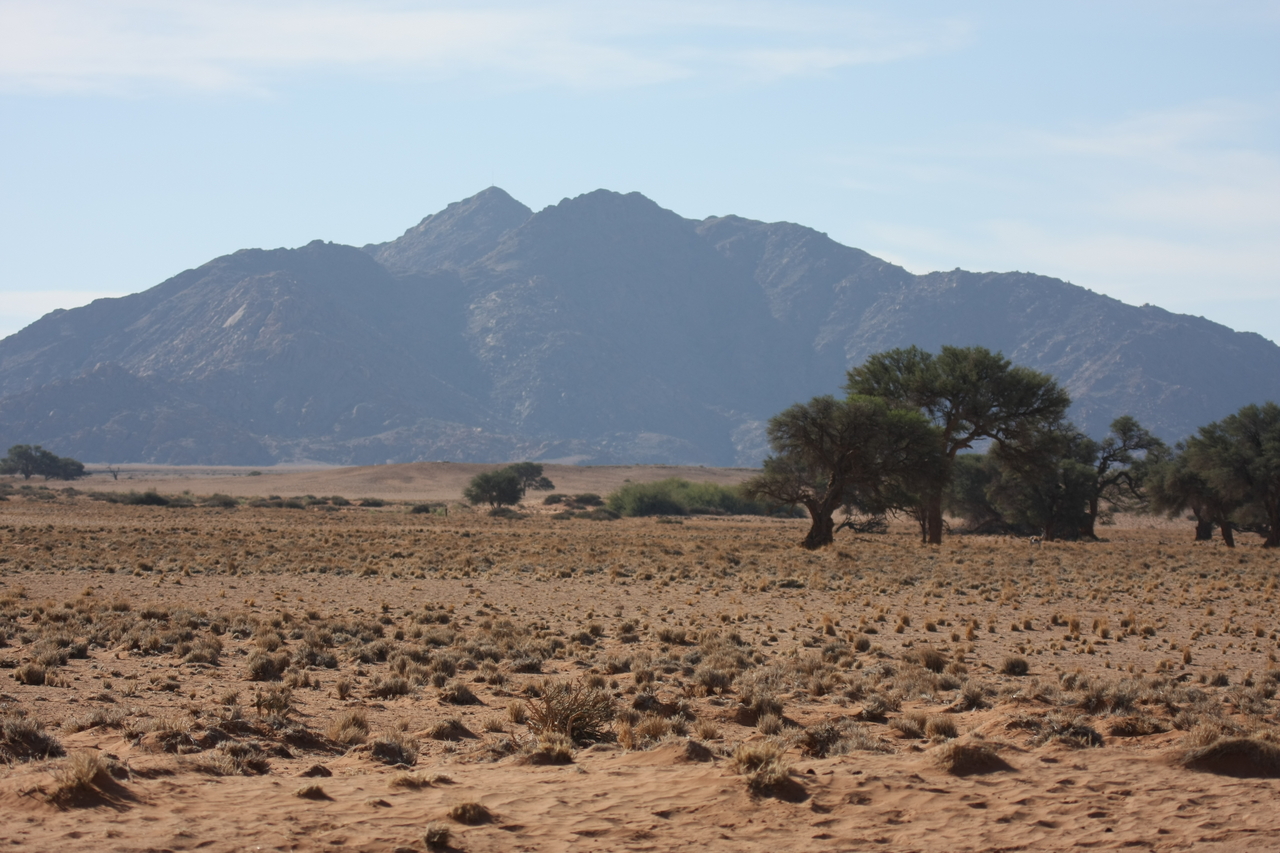 [15781] 2016_06_25_09_31_58_Africa_Canon_EOS_40D_IMG__09552.jpg