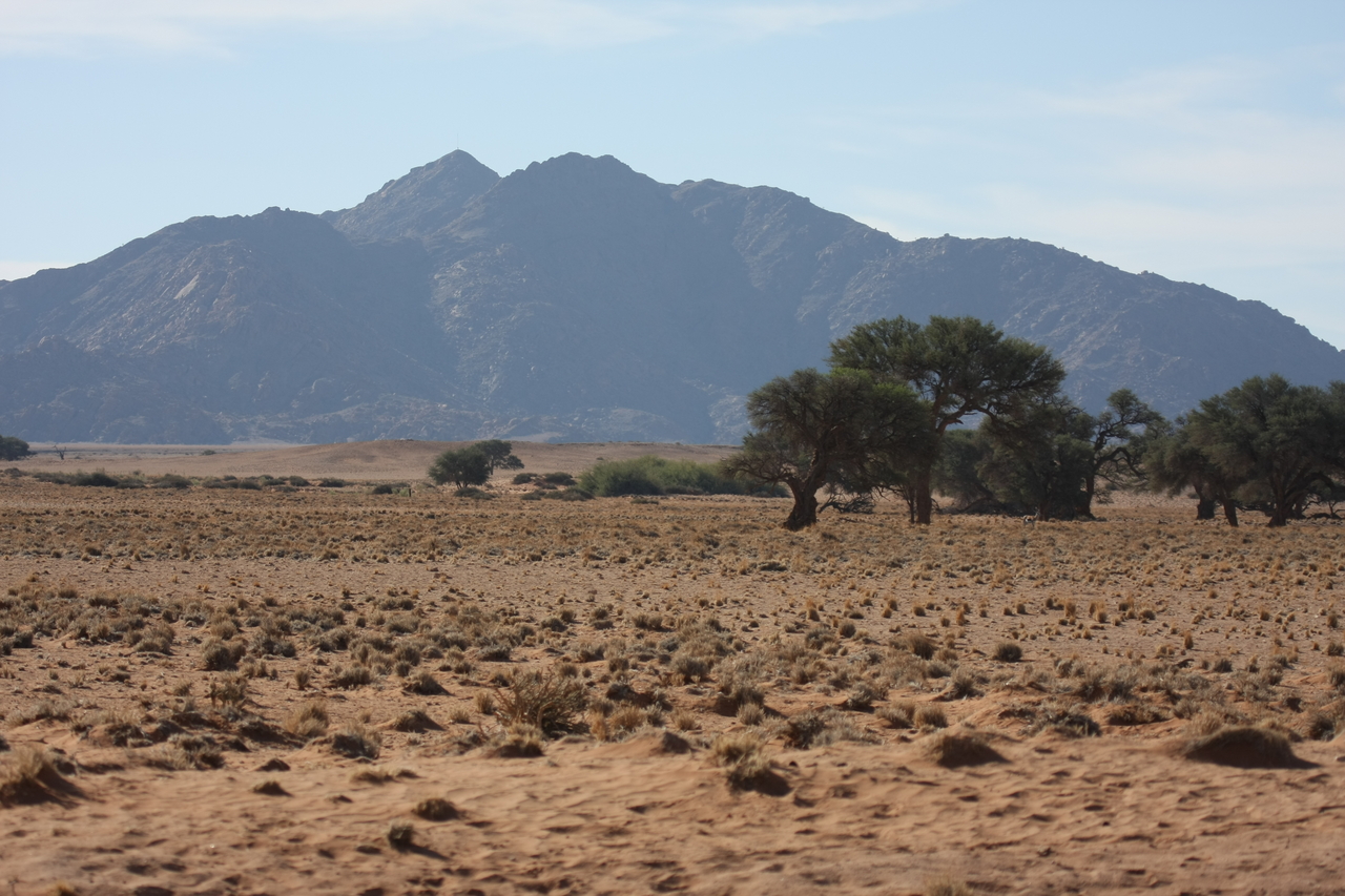 [15782] 2016_06_25_09_32_06_Africa_Canon_EOS_40D_IMG__00115.jpg