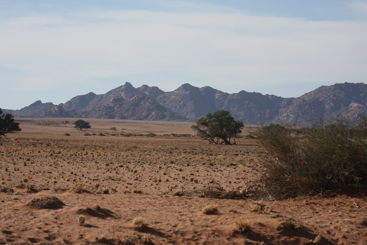 [15795] 2016_06_25_09_32_36_Africa_Canon_EOS_40D_IMG__09558.jpg