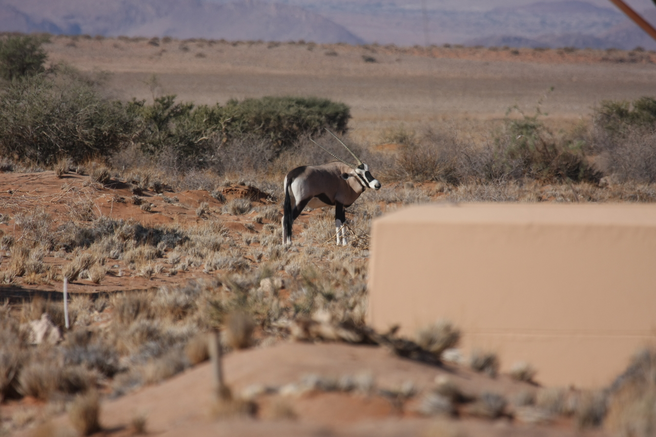 [15810] 2016_06_25_09_33_46_Africa_Canon_EOS_40D_IMG__00126.jpg