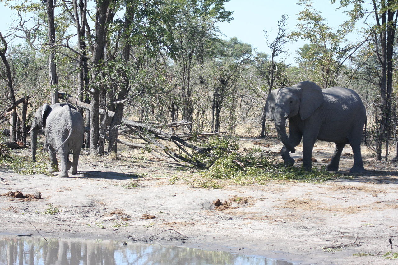 [16844] 2016_06_27_07_52_03_Africa_Canon_EOS_40D_IMG__00022.jpg