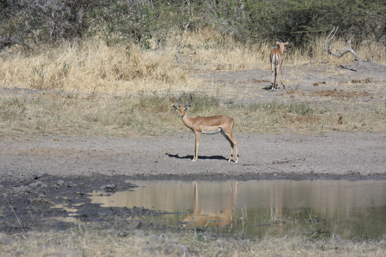 [16943] 2016_06_27_08_07_49_Africa_Canon_EOS_40D_IMG__00054.jpg