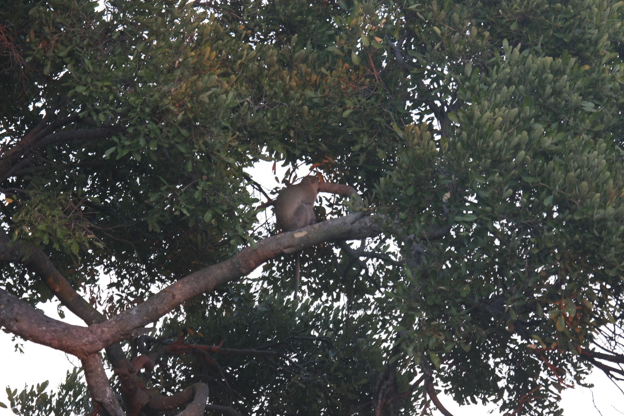 [17484] 2016_06_28_01_03_37_Africa_Canon_EOS_40D_IMG__02722.jpg