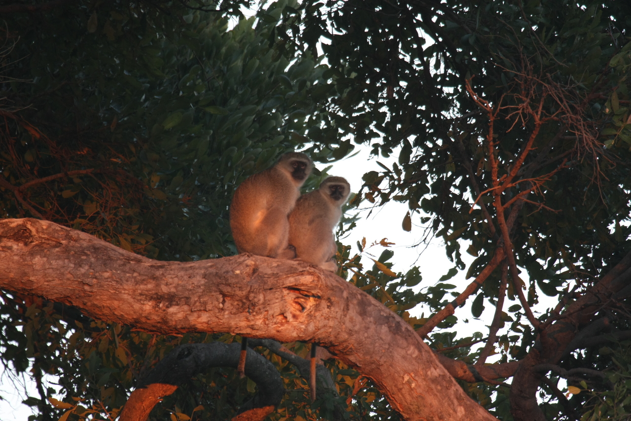 [17506] 2016_06_28_01_05_13_Africa_Canon_EOS_40D_IMG__09848.jpg