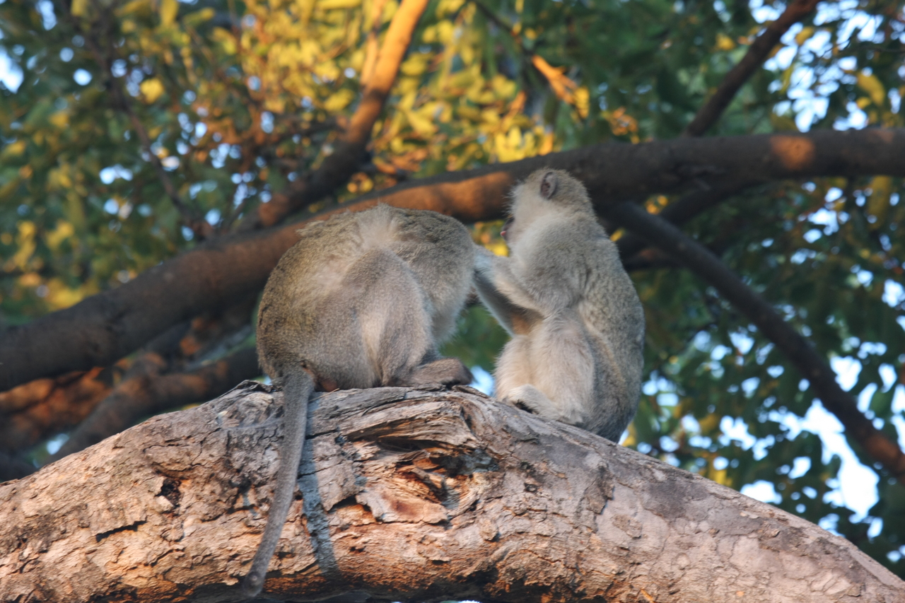 [17571] 2016_06_28_01_10_44_Africa_Canon_EOS_40D_IMG__10036.jpg