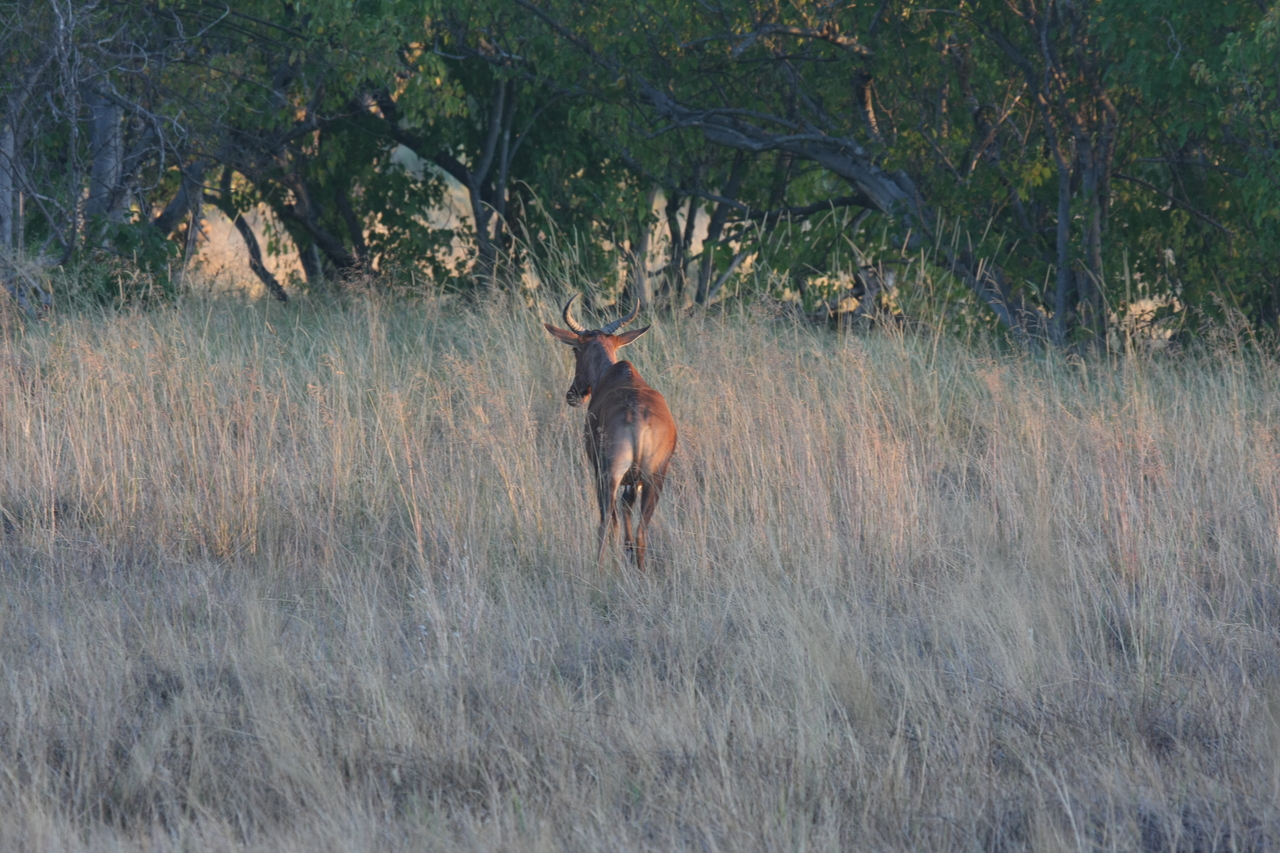 [17585] 2016_06_28_01_12_53_Africa_Canon_EOS_40D_IMG__00269.jpg
