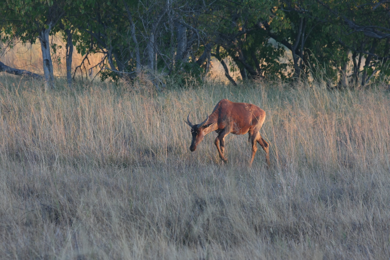 [17600] 2016_06_28_01_13_15_Africa_Canon_EOS_40D_IMG__02689.jpg