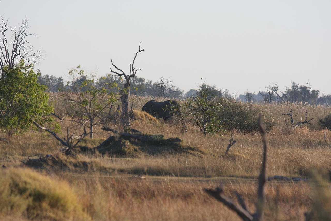 [17708] 2016_06_28_01_39_47_Africa_Canon_EOS_40D_IMG__03033.jpg