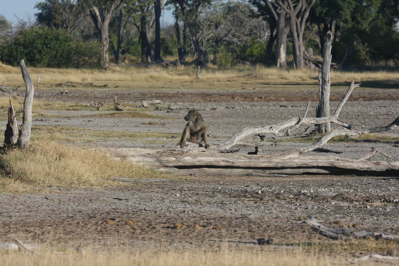 [17758] 2016_06_28_01_59_00_Africa_Canon_EOS_40D_IMG__00791.jpg