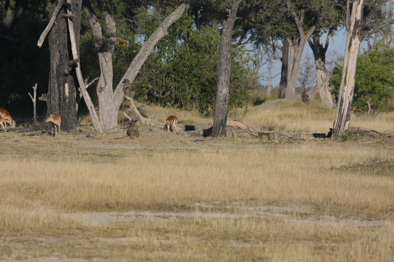 [17783] 2016_06_28_01_59_43_Africa_Canon_EOS_40D_IMG__03230.jpg