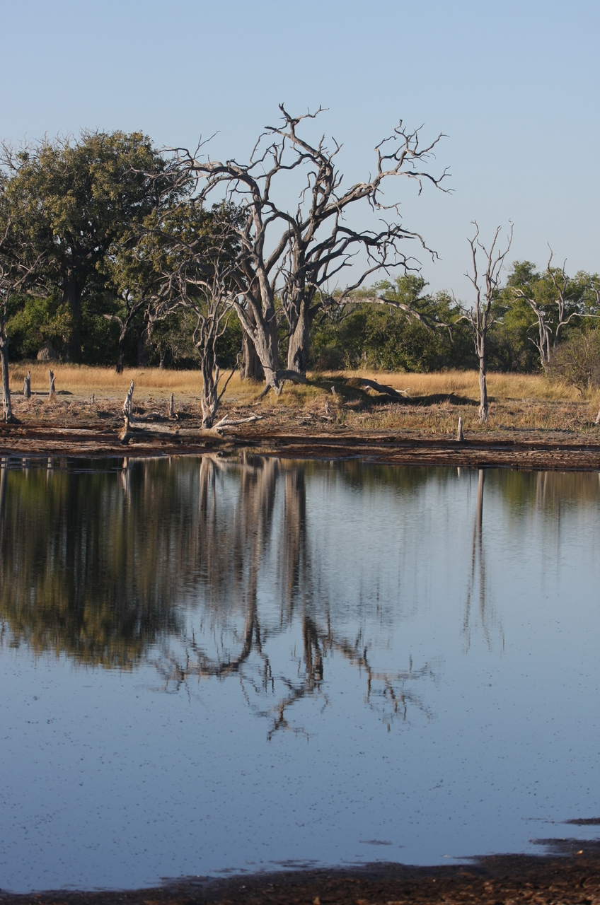 [17794] 2016_06_28_02_04_56_Africa_Canon_EOS_40D_IMG__10681.jpg