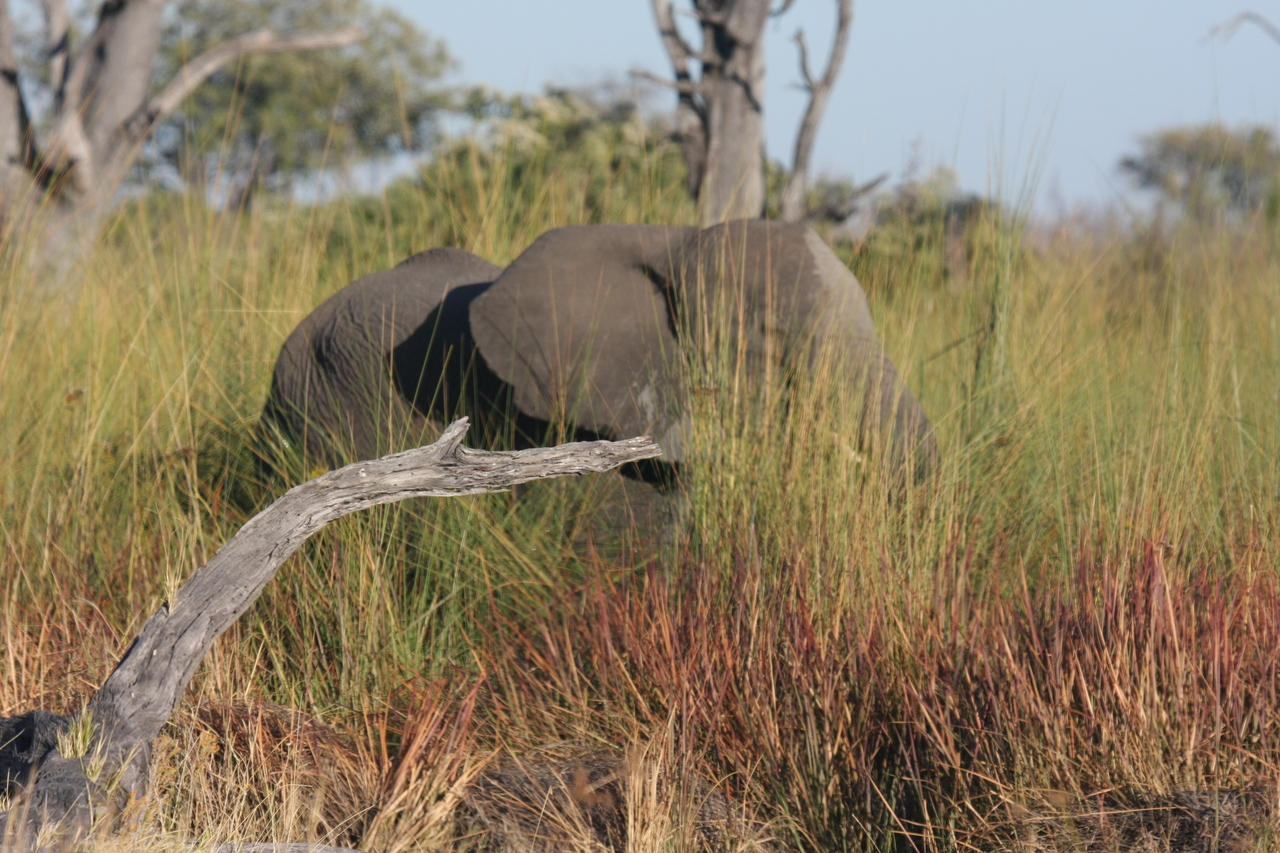 [17850] 2016_06_28_02_13_07_Africa_Canon_EOS_40D_IMG__00016.jpg