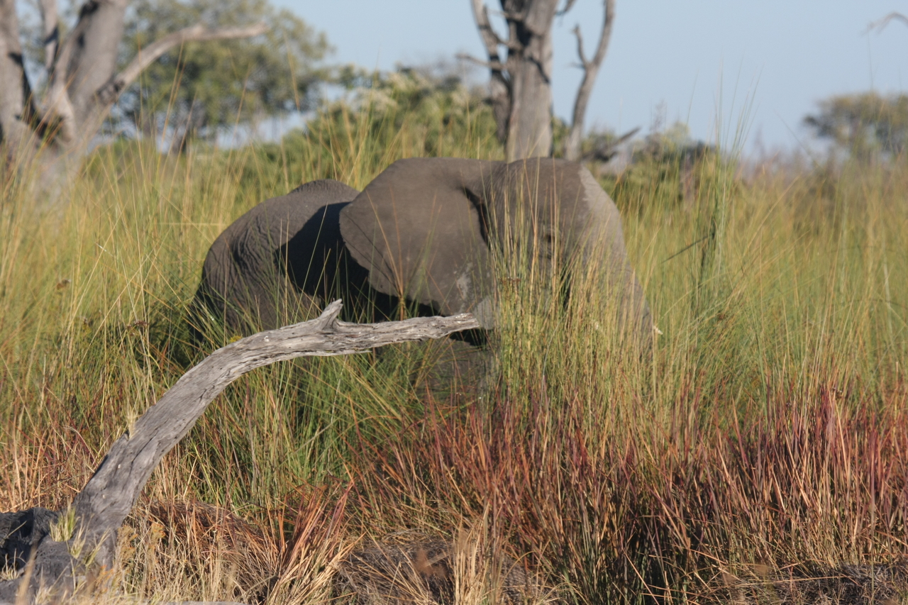 [17853] 2016_06_28_02_13_07_Africa_Canon_EOS_40D_IMG__02404.jpg