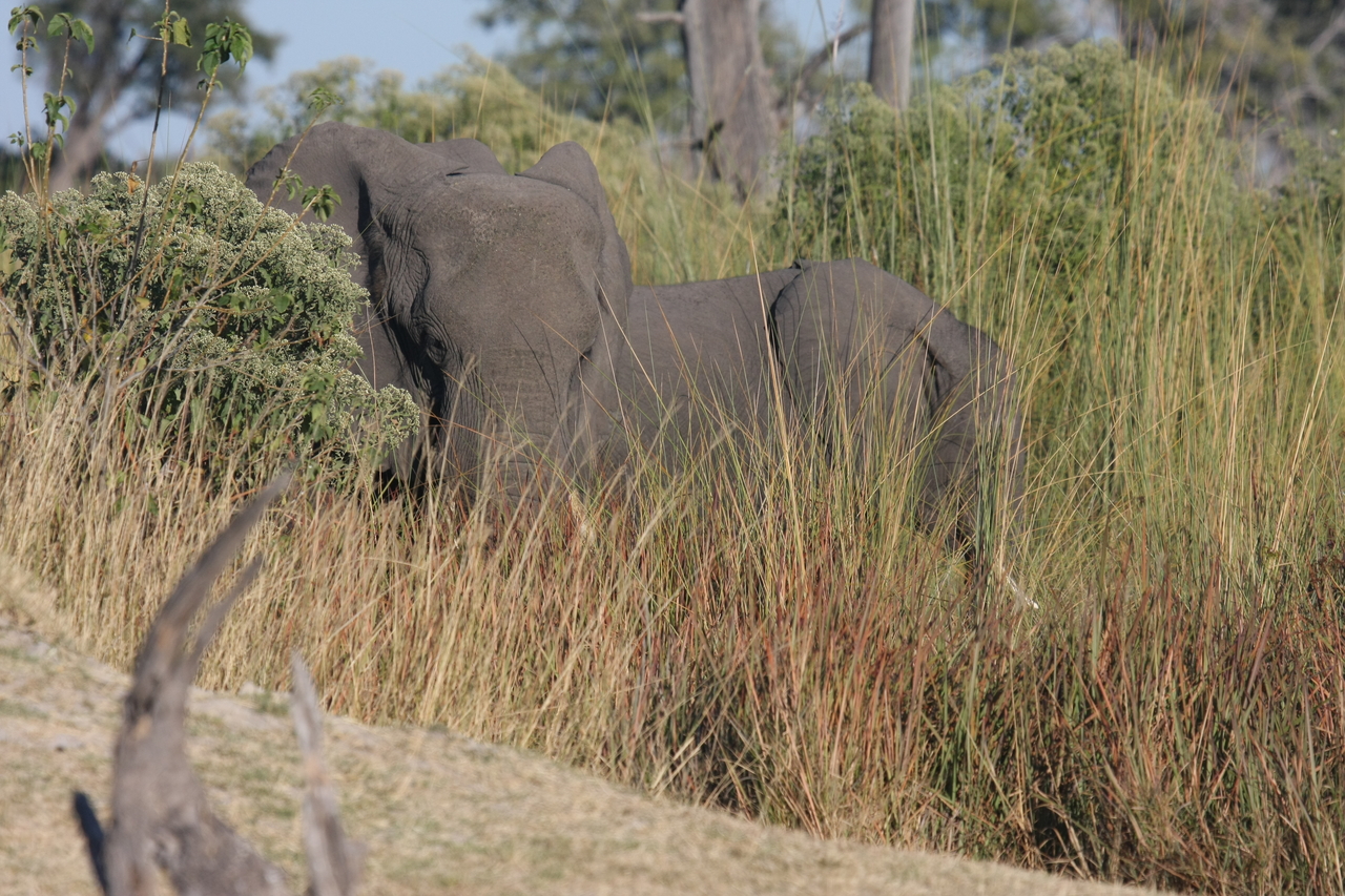 [17869] 2016_06_28_02_14_03_Africa_Canon_EOS_40D_IMG__00023.jpg