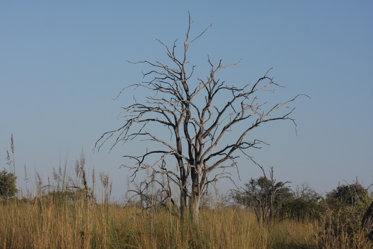 [17884] 2016_06_28_02_15_03_Africa_Canon_EOS_40D_IMG__00029.jpg