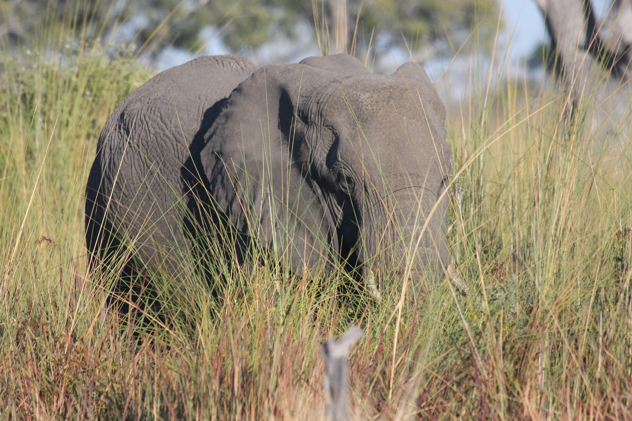 [17892] 2016_06_28_02_16_20_Africa_Canon_EOS_40D_IMG__02418.jpg