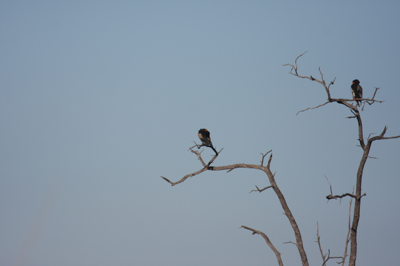 [18093] 2016_06_28_02_24_32_Africa_Canon_EOS_40D_IMG__00105.jpg