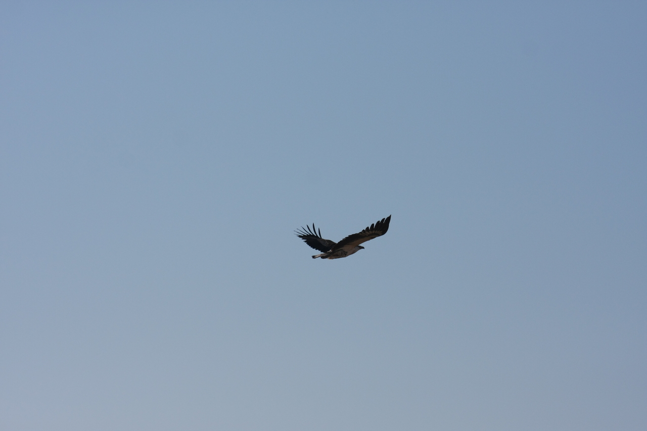 [18138] 2016_06_28_02_33_46_Africa_Canon_EOS_40D_IMG__00122.jpg