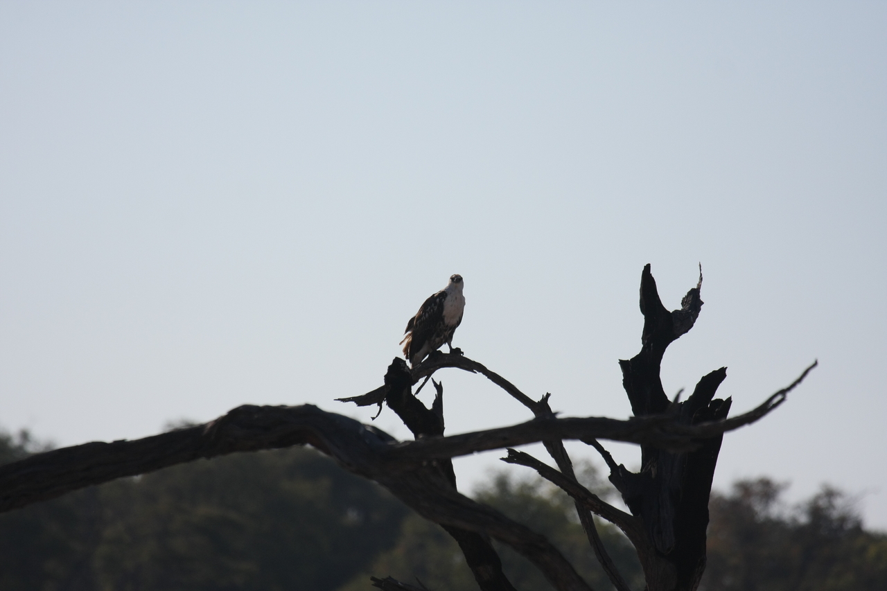 [18150] 2016_06_28_02_34_04_Africa_Canon_EOS_40D_IMG__00127.jpg