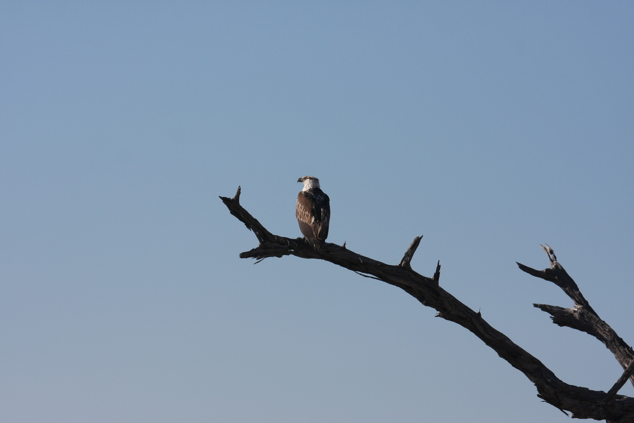 [18157] 2016_06_28_02_34_48_Africa_Canon_EOS_40D_IMG__02516.jpg