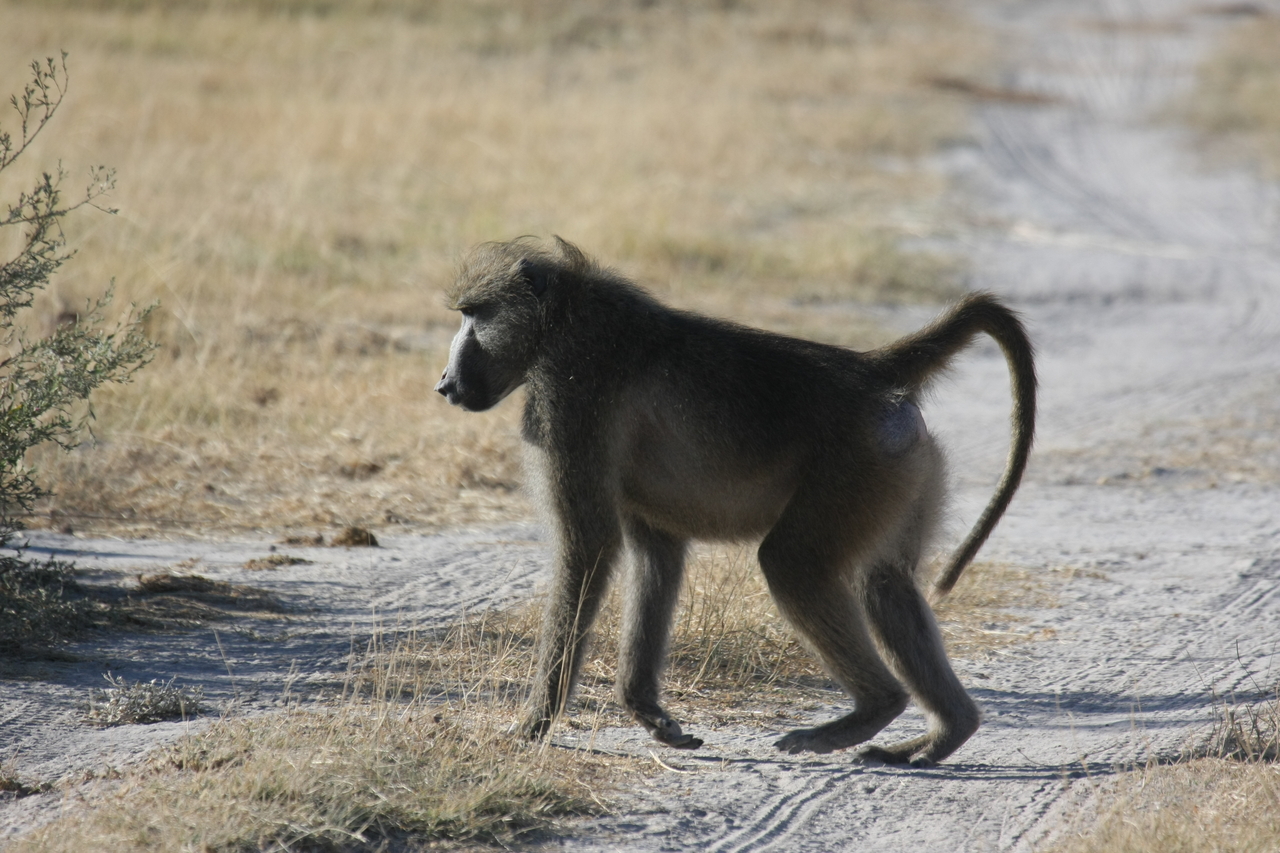 [18442] 2016_06_28_02_51_45_Africa_Canon_EOS_40D_IMG__02621.jpg