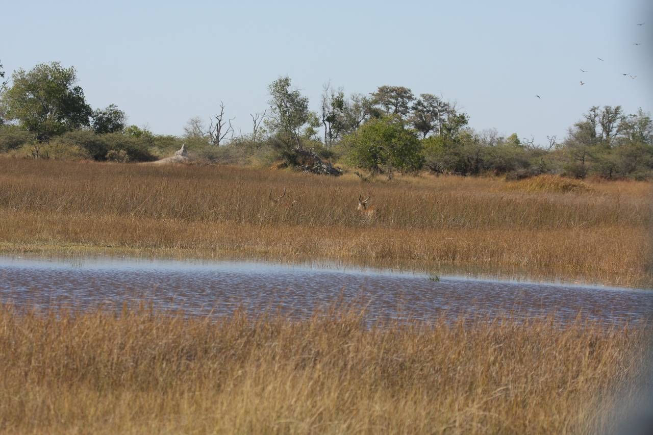 [18538] 2016_06_28_03_53_41_Africa_Canon_EOS_40D_IMG__10102.jpg