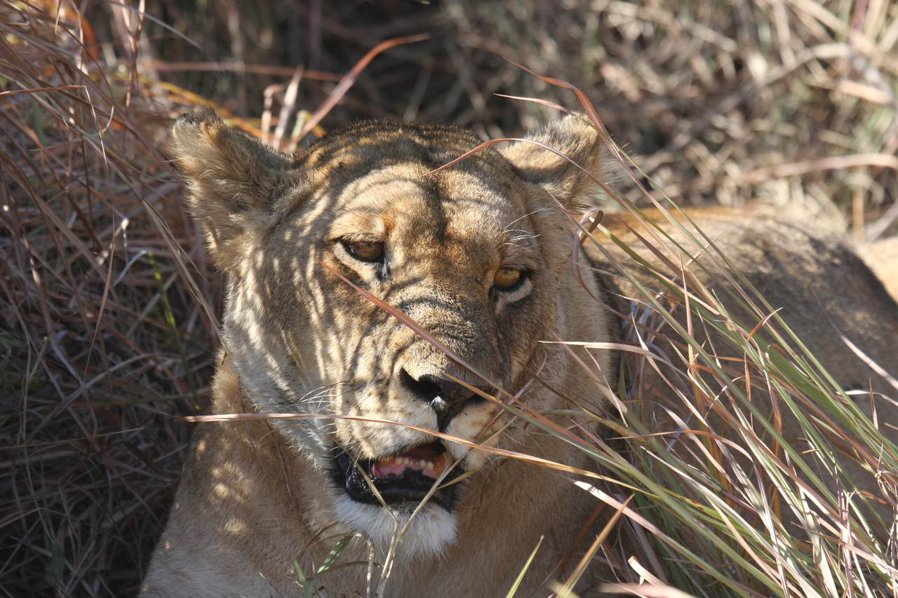 [18595] 2016_06_28_04_03_01_Africa_Canon_EOS_40D_IMG__00292.jpg