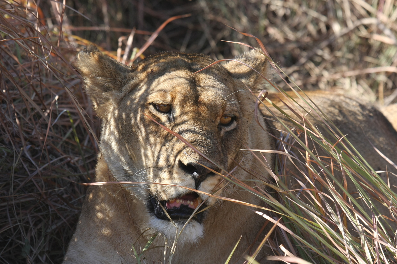 [18600] 2016_06_28_04_03_01_Africa_Canon_EOS_40D_IMG__10124.jpg