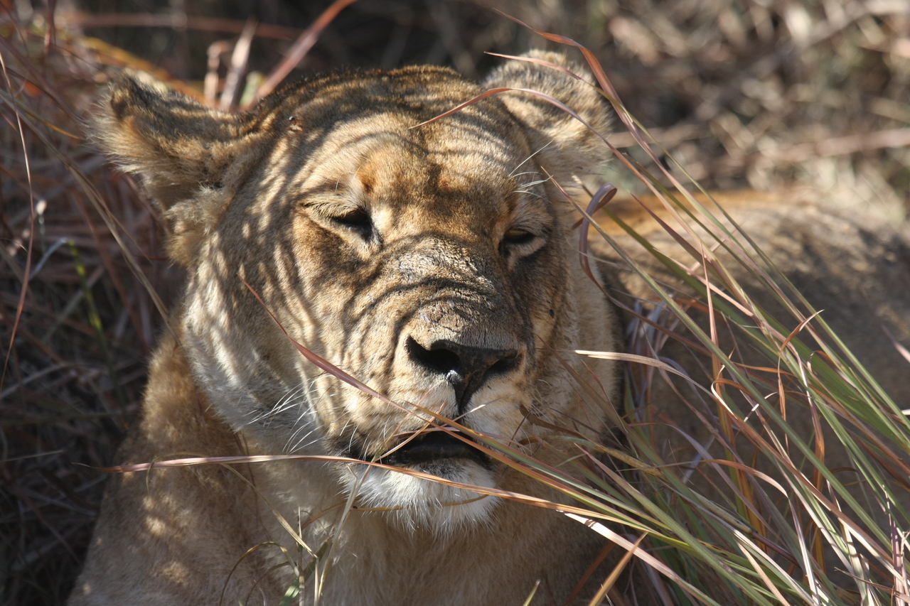 [18605] 2016_06_28_04_03_09_Africa_Canon_EOS_40D_IMG__02681.jpg