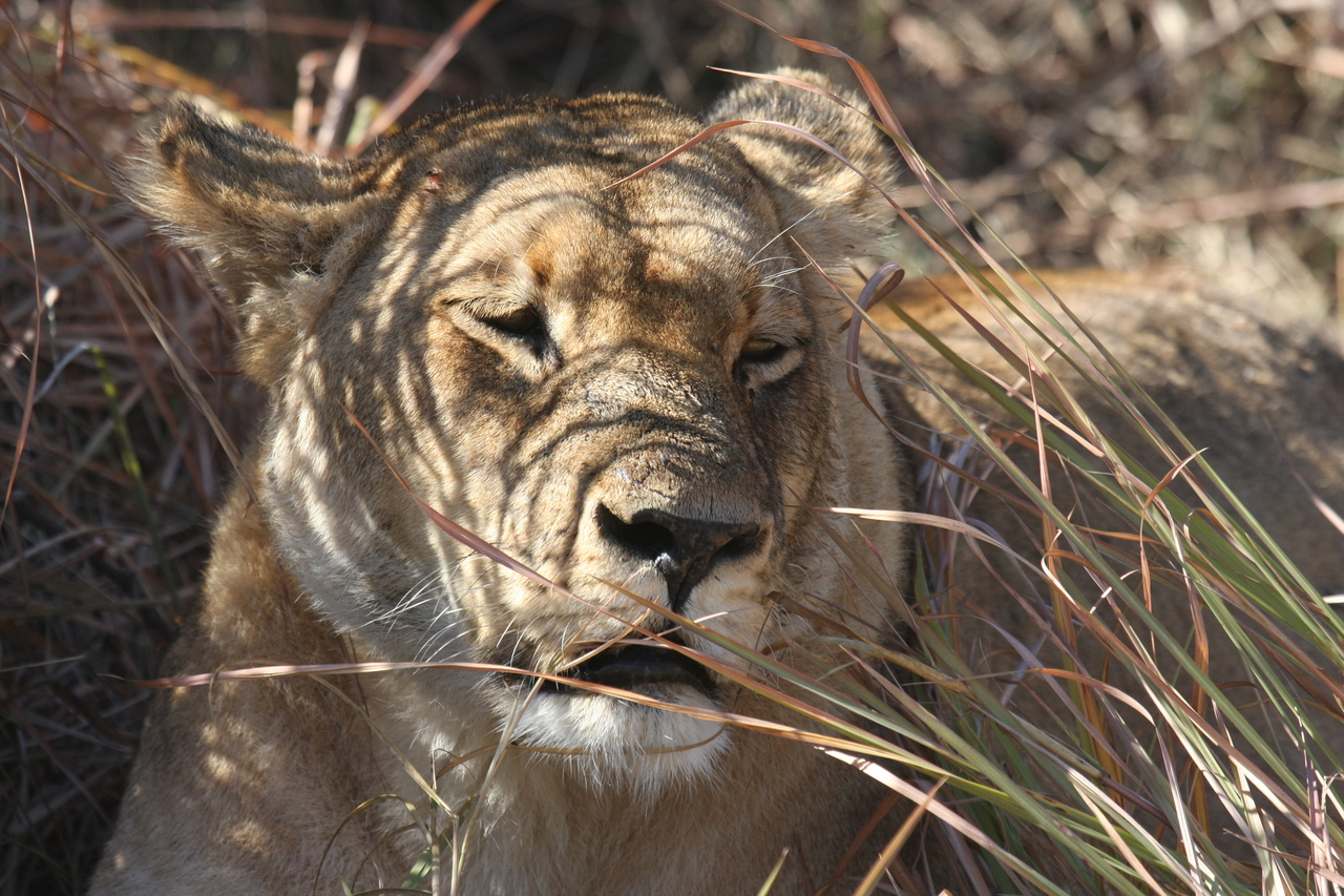 [18608] 2016_06_28_04_03_09_Africa_Canon_EOS_40D_IMG__10129.jpg