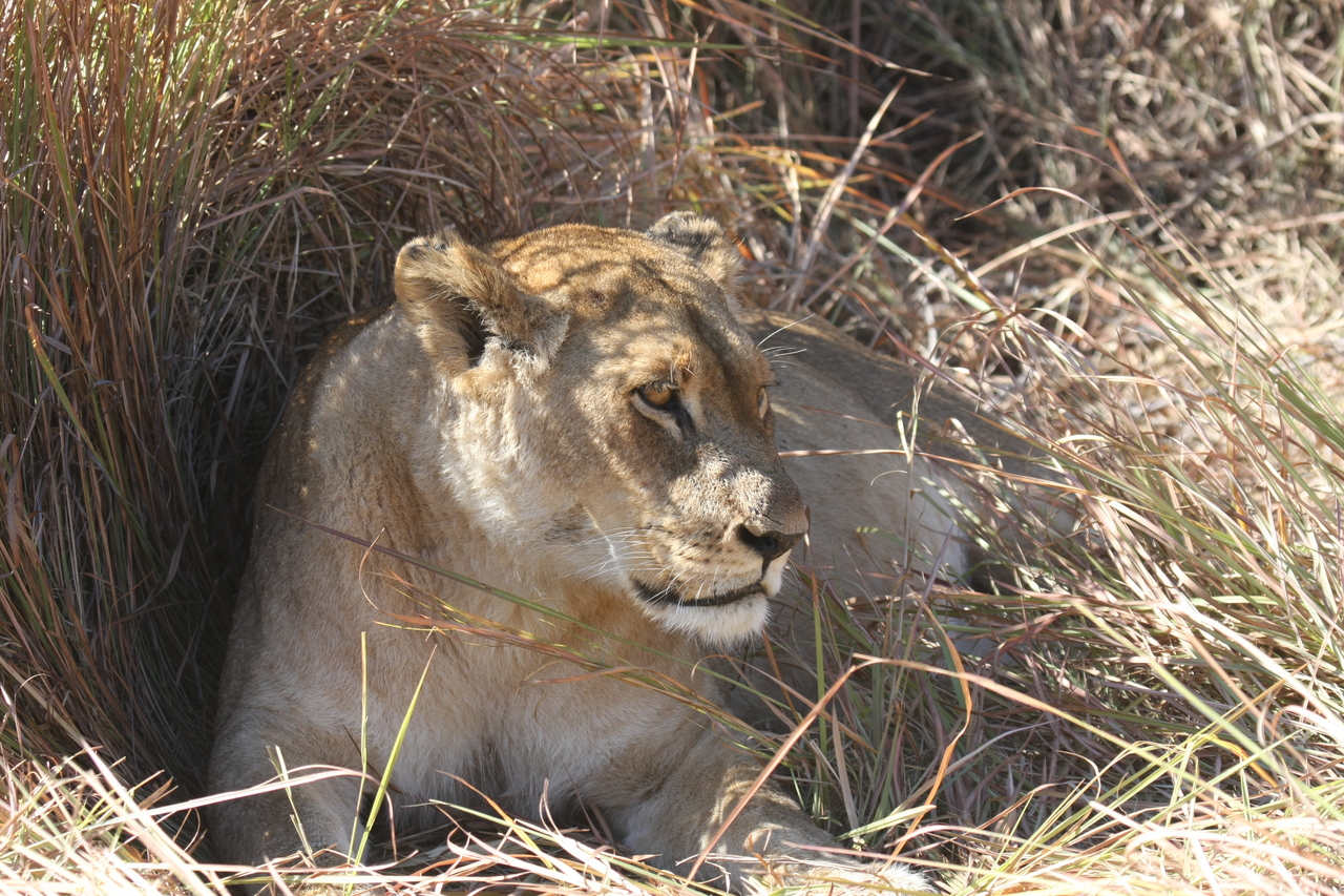 [18610] 2016_06_28_04_03_27_Africa_Canon_EOS_40D_IMG__02683.jpg