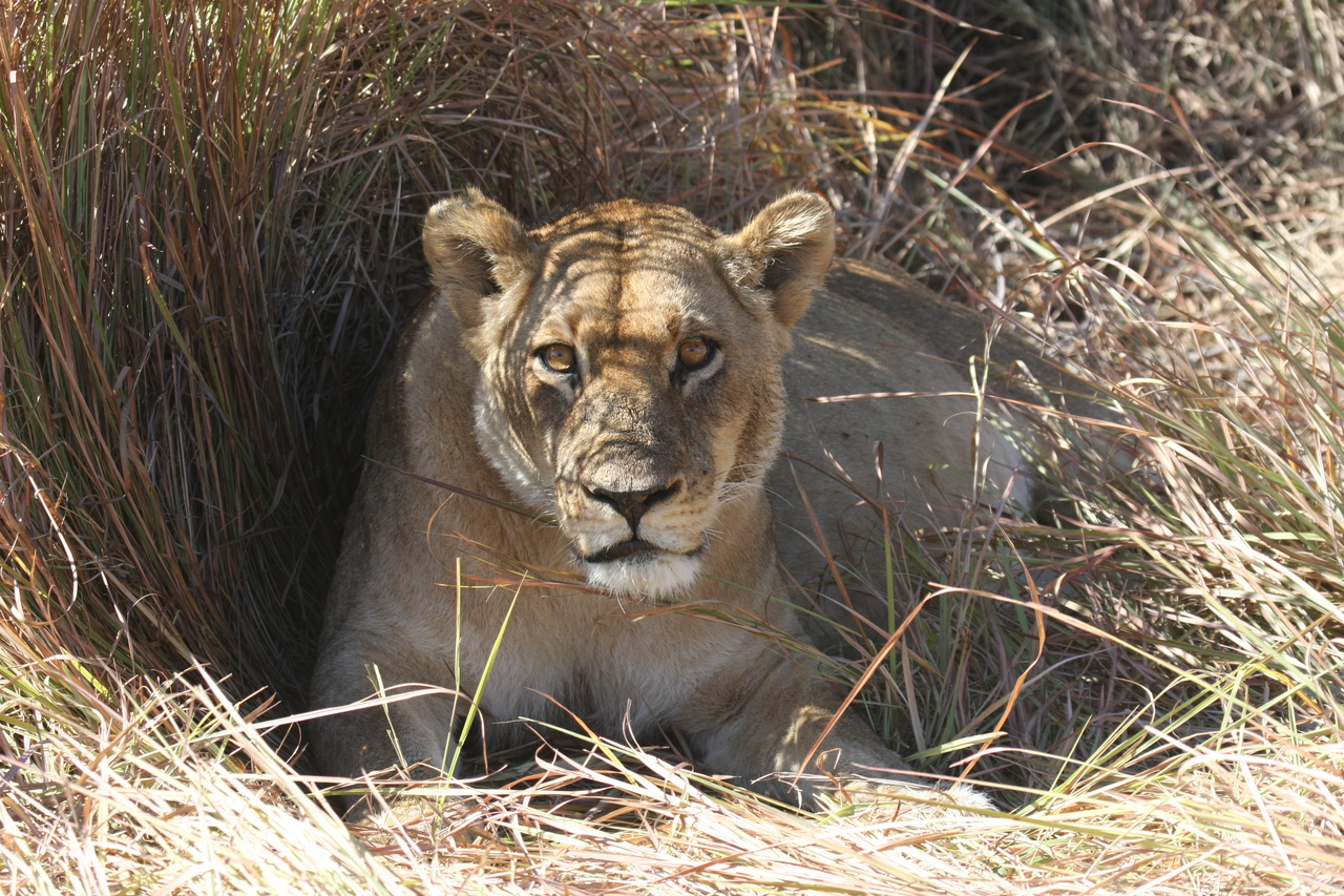 [18615] 2016_06_28_04_03_33_Africa_Canon_EOS_40D_IMG__02685.jpg