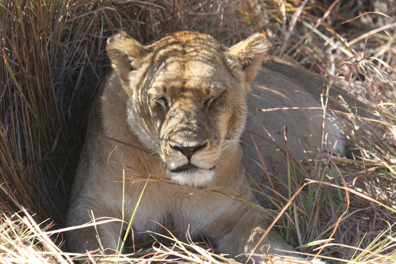 [18625] 2016_06_28_04_03_36_Africa_Canon_EOS_40D_IMG__02688.jpg