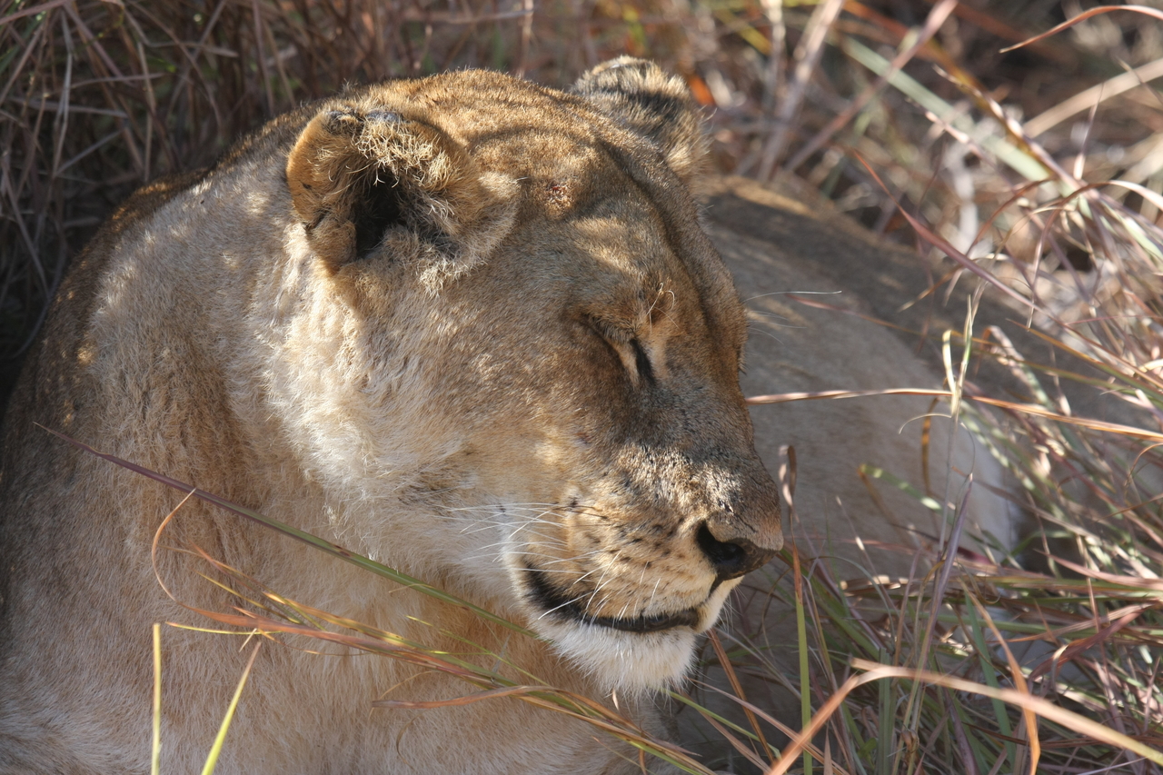 [18628] 2016_06_28_04_03_47_Africa_Canon_EOS_40D_IMG__00304.jpg