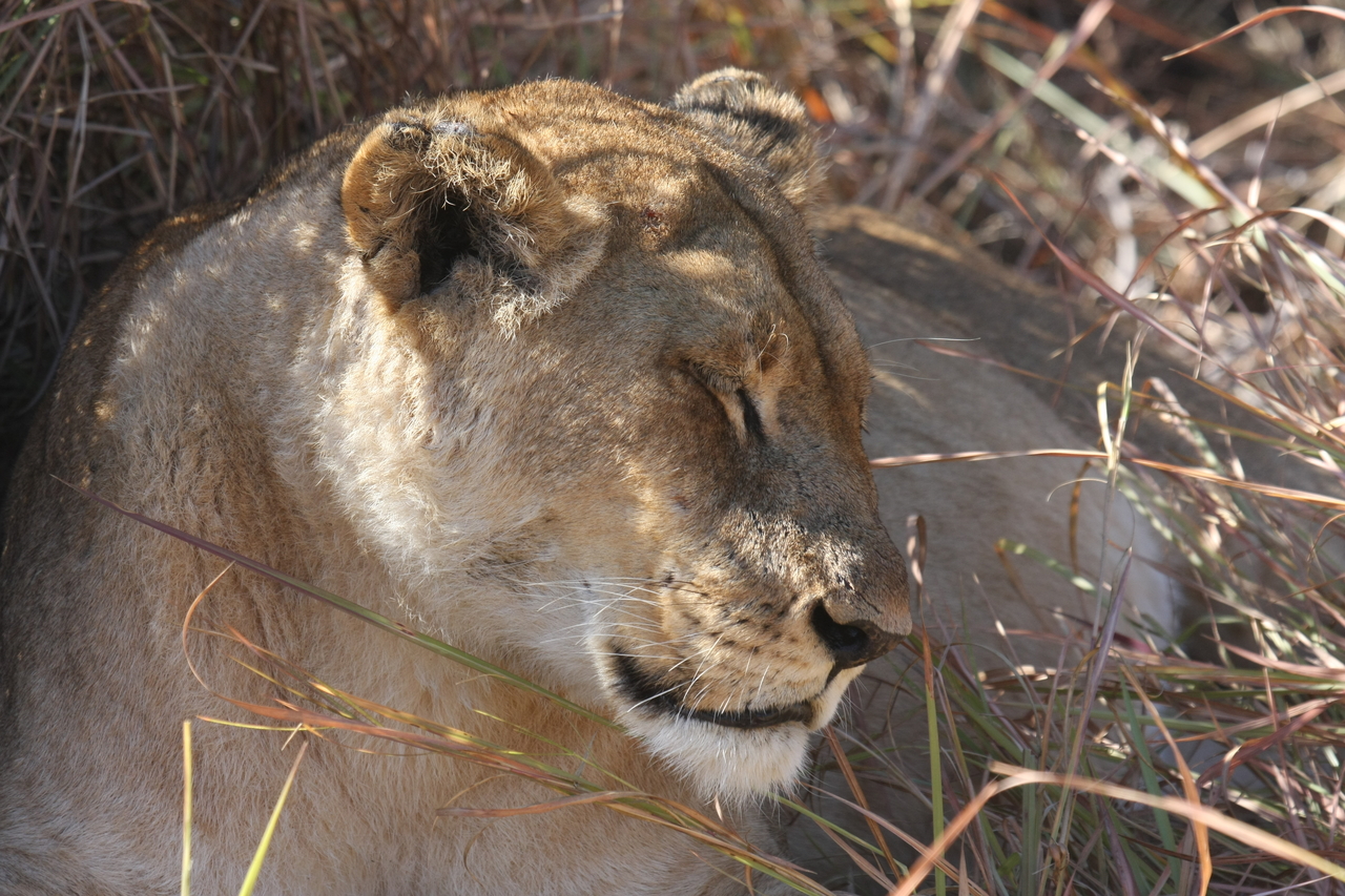 [18629] 2016_06_28_04_03_47_Africa_Canon_EOS_40D_IMG__00305.jpg